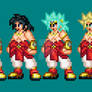 Broly Forms