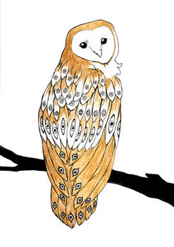 Owl