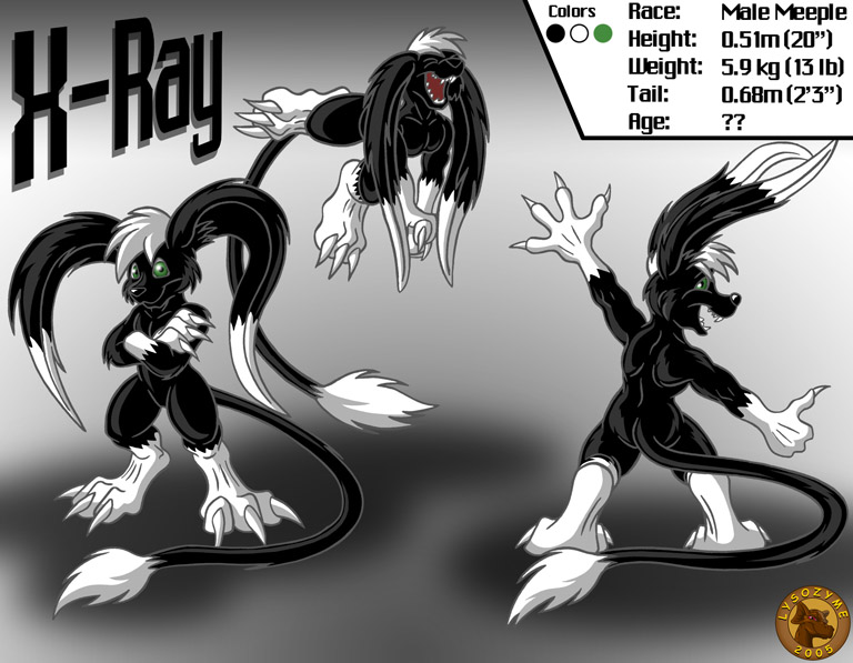 Character Layout - X-Ray