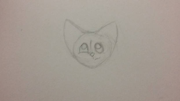 Animation sketch cat