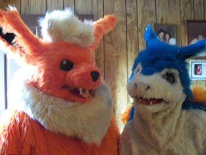 Flareon and Typhlosion fursuit!
