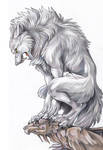 White Werewolf by Exileden
