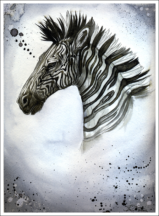 Zebra