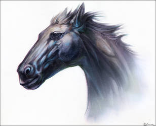 Eclipsous Sleipnir by Exileden