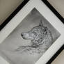 Framed Wolf Drawing