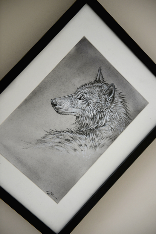 Framed Wolf Drawing