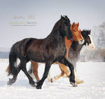 winter XIV by vadalein