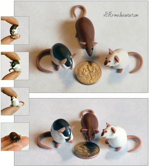 Set of 3 Dime Rats ~ MoonsongWolf Commission