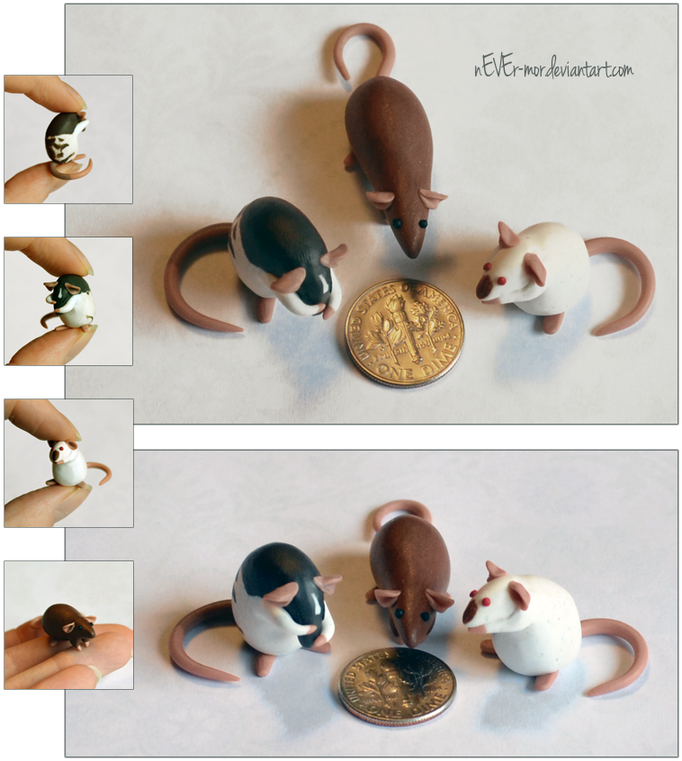 Set of 3 Dime Rats ~ MoonsongWolf Commission