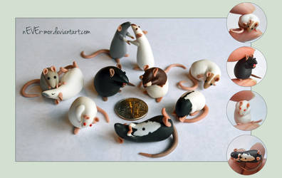 A Tiny Rat Crowd ~ DragonsAndBeasties Commission