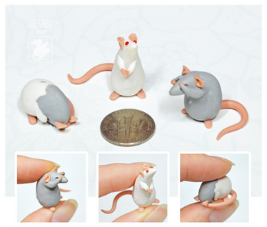 Set Of 3 Dime Rats ~ Tirramirr Commission