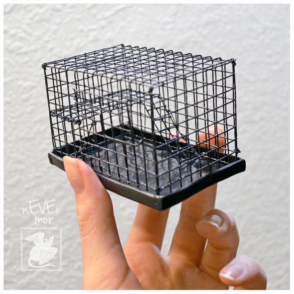 Rat best sale travel cage