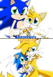 Sonic and Tails: Brothers (Role Reversal)