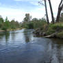 Kiewa Valley River