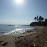 Collaroy Beach, Early Morning