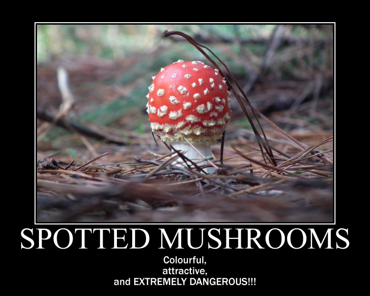 Spotted Mushroom Demote