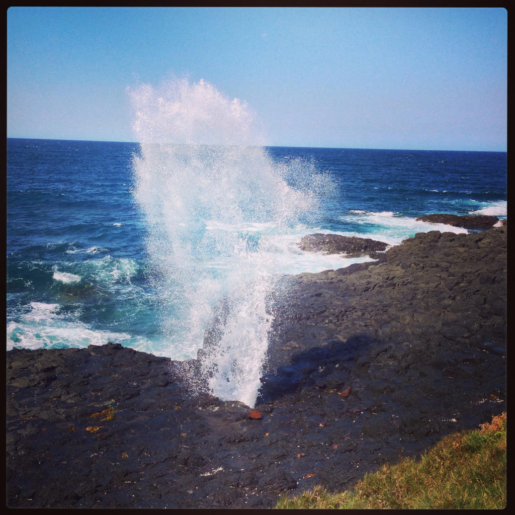 little blowhole, BIG IMPACT