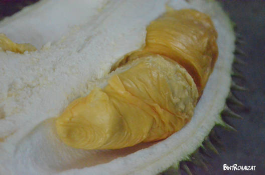 Durian