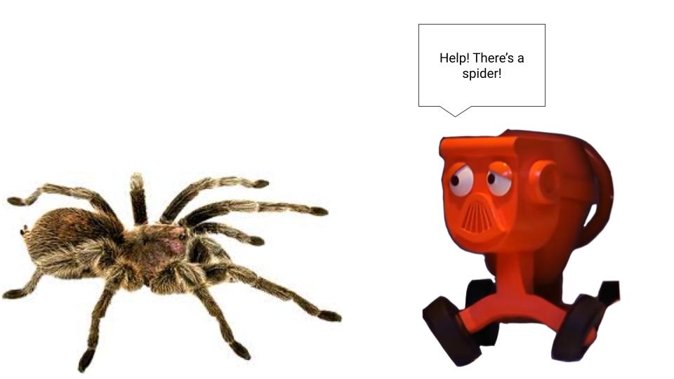 Dizzy and the spider