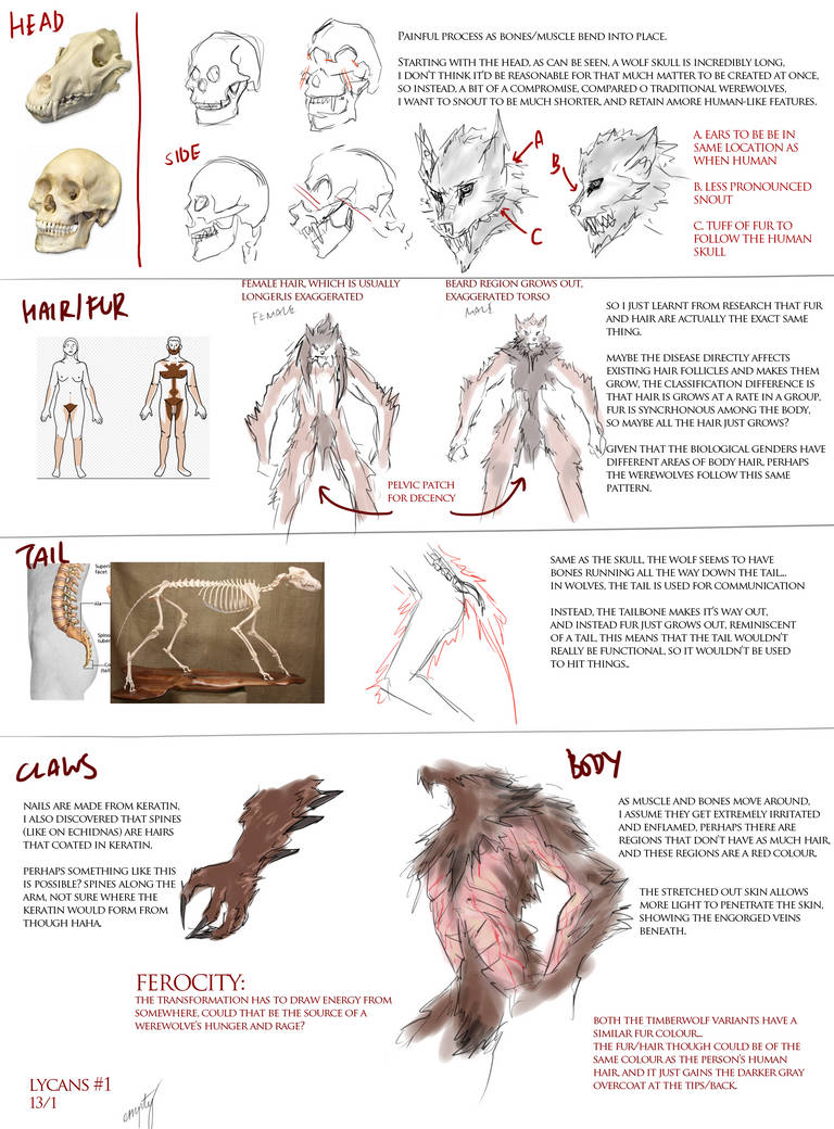 Lycan Concept #1 #ProjectShadow by DakotaLDE on DeviantArt