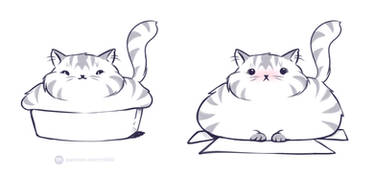 The problem of a fat cat