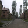 Auschwitz 008