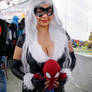 Blackcat Lucyaya (2)