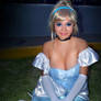 cinderella_princess16_lu (4)