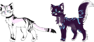 Kitten adopts OTA (CLOSED)
