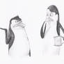 Rico and Kowalski the penguins ^^