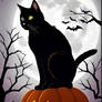 Halloween Black Cat on a Pumpkin