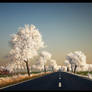 Dreams Way