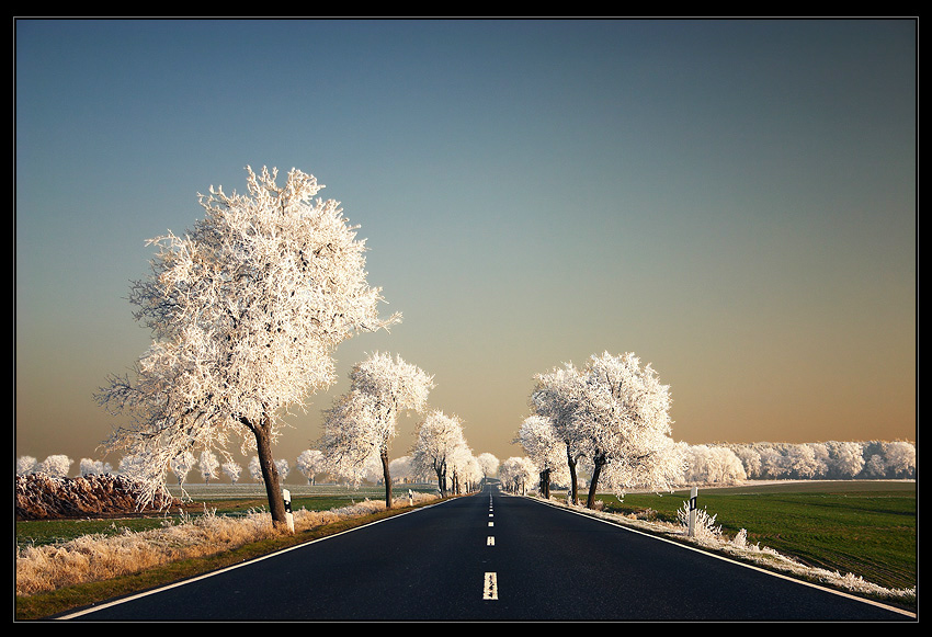 Dreams Way