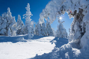 Winter in Giant Mountains