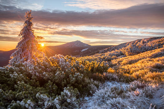 Sunrise in Giant Mountins