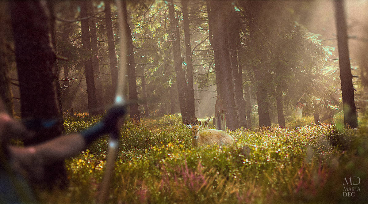 Hunt by Gejda Hunt by Gejda