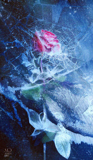 Shattered by Gejda Shattered by Gejda