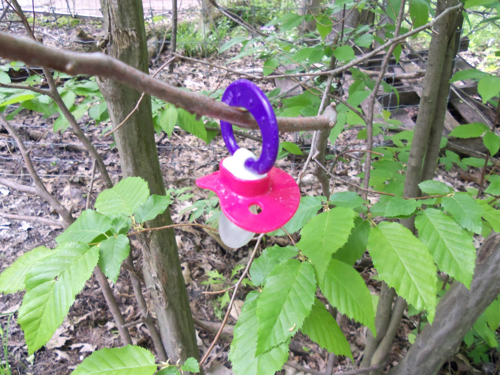 Pacifier Tree by ravenclawqueen on DeviantArt
