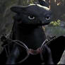 Toothless WTF