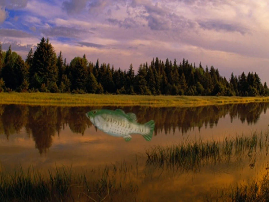 Fish in river by Jack1set2 on DeviantArt