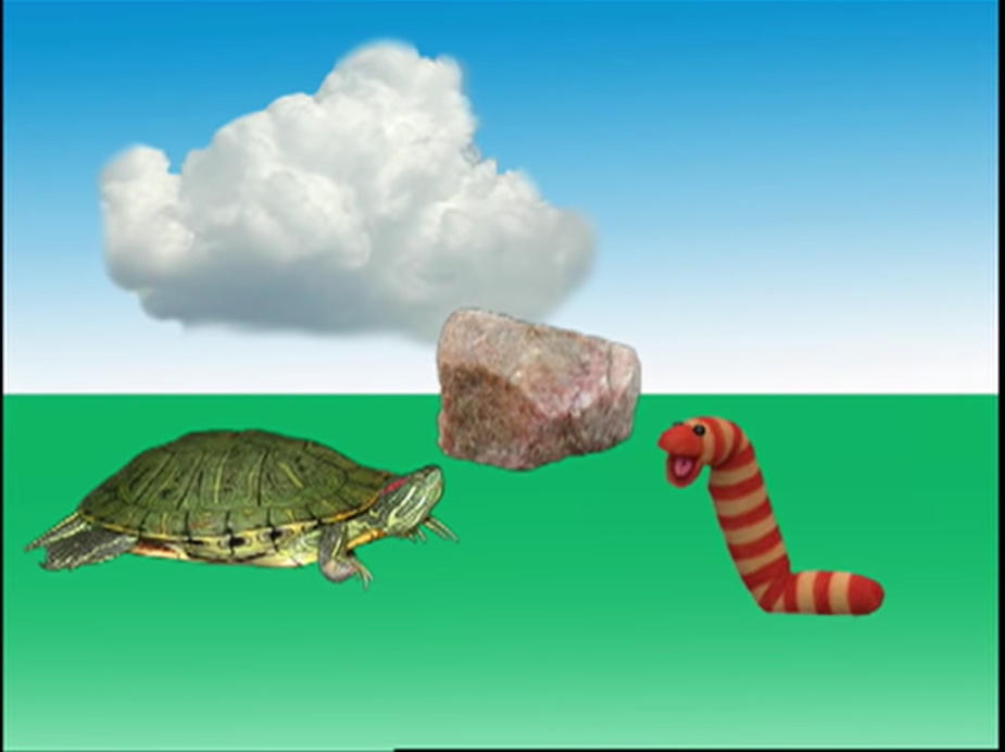 Question 3 from Elmo's World Sky Quiz by Jack1set2 on DeviantArt