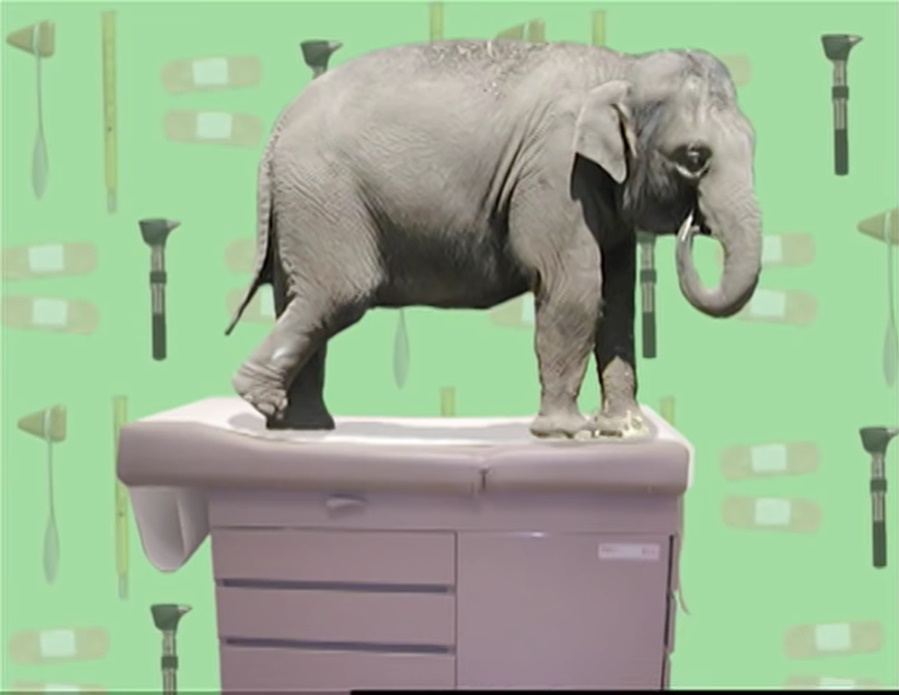 Do elephants go to the doctor? by Jack1set2 on DeviantArt
