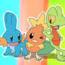 Hoenn Starters