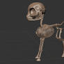 FO:E Skeleton Sculpt