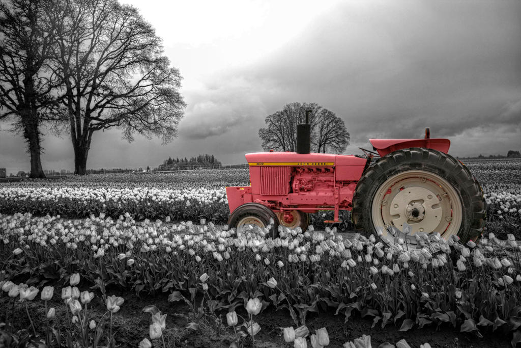 Little Pink Tracktors BW