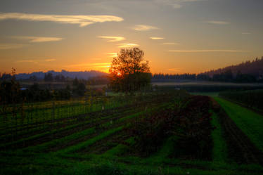 Smoky Sunset