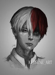 Todoroki