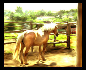 watercolor pony