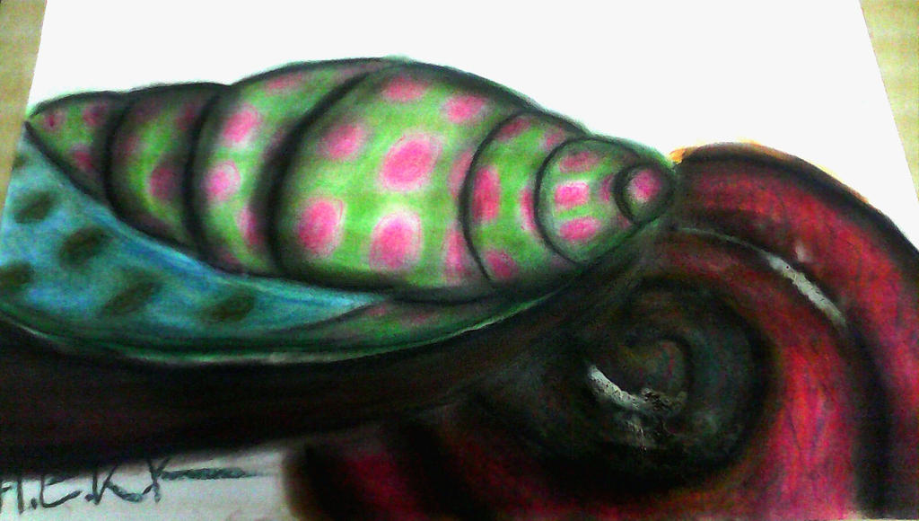 Shellz by Mustacio2000 on DeviantArt