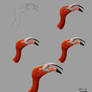 Flamingo study - process